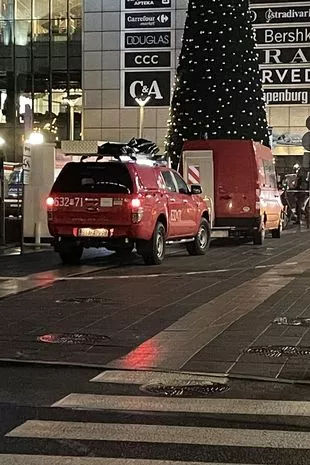 在引发大规模紧急响应后,一名男子从巨大的圣诞树顶上被救出