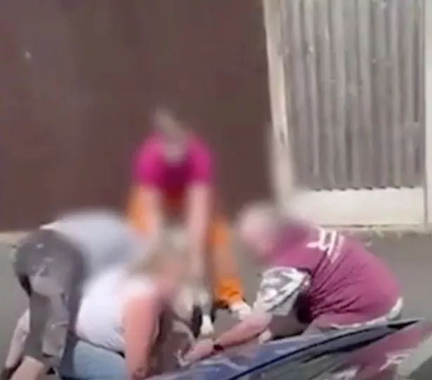 当妈妈尖叫“他杀了我的狗”时,“XL Bully”在街上抓住了拉布拉多犬