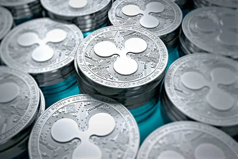 加密景观洞察：XRP的主要持有者将于2024年12月公布