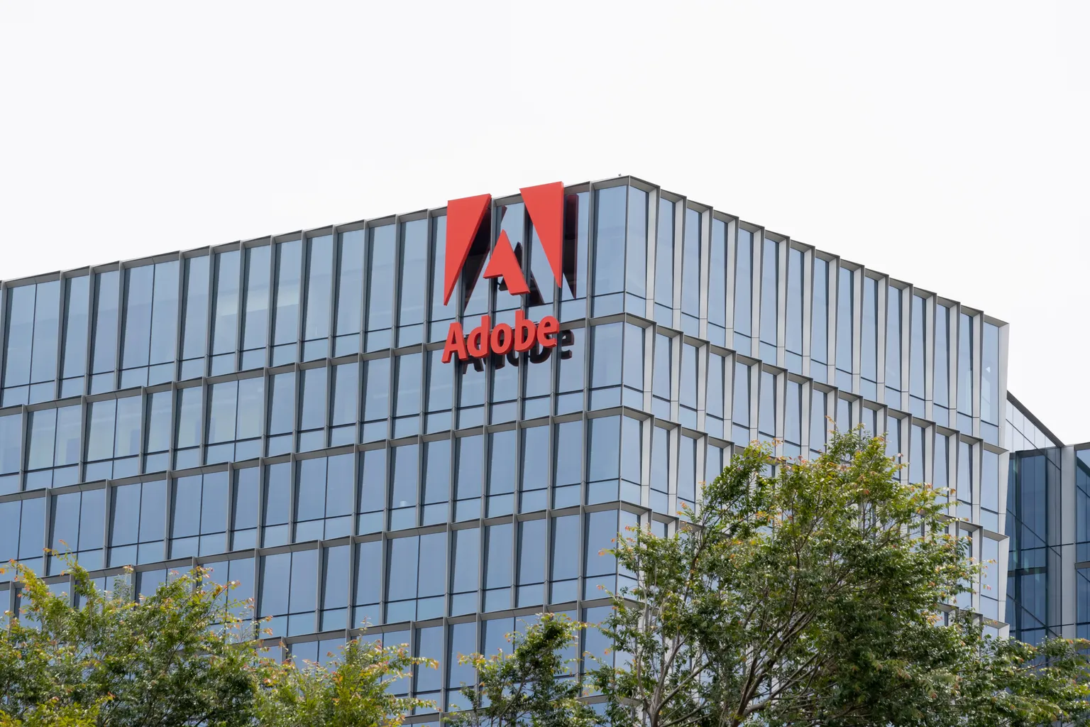 Adobe的收入加速:关键见解和第四季度指导
