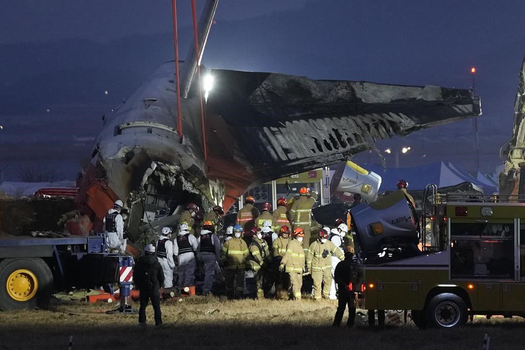 一架飞机在韩国降落时坠毁，造成179人死亡