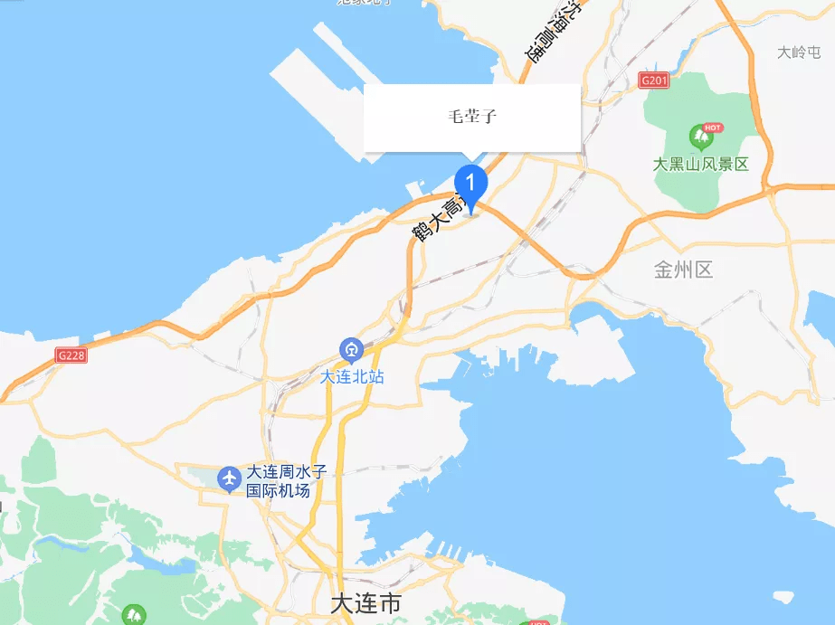 这个月Lidl新开了9家超市——参见完整的地点列表